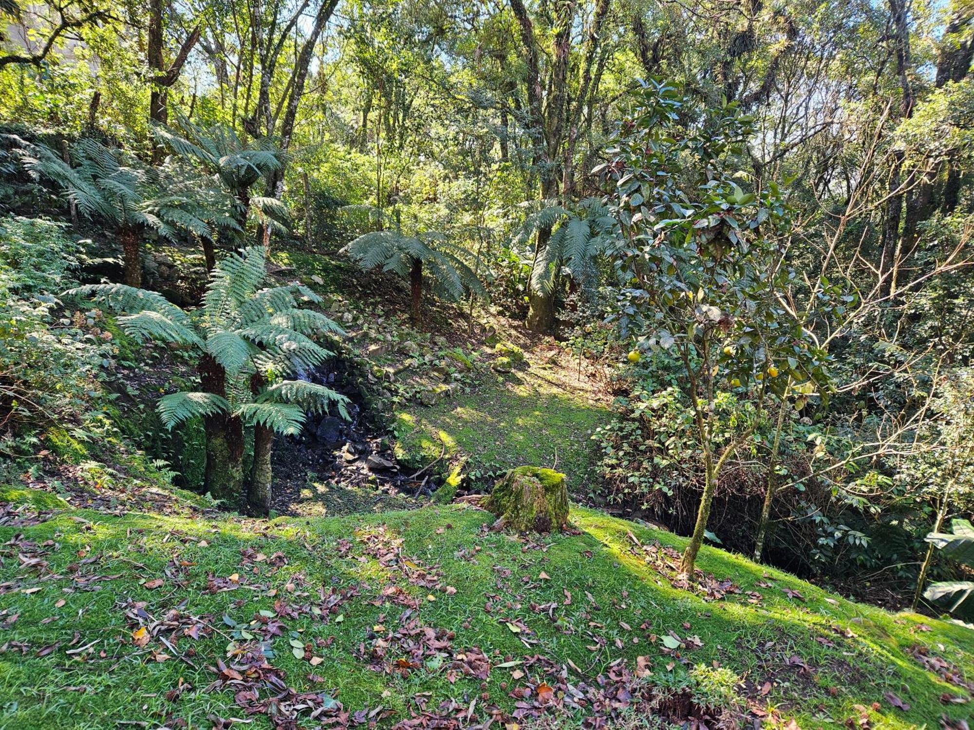 Cantinho Das Oliveiras. Gramado Exterior photo